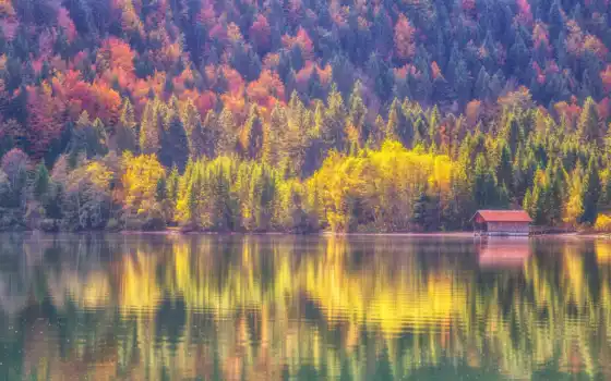 ,дом,лес,озеро,причал,осень,