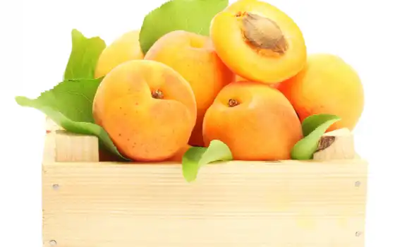 абрикос, глоток, еда, плод