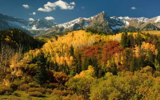 лес, осень, горные, онлайн, деревья, легенды, часть,