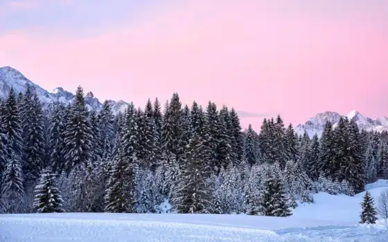гора, снег, розовый