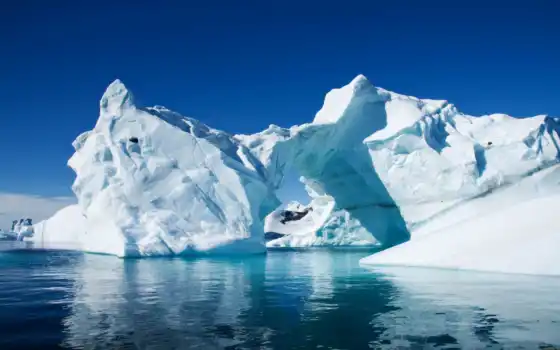 лед, антарктида, антарктическое, море, таяние, могли бы, оса, уровень,