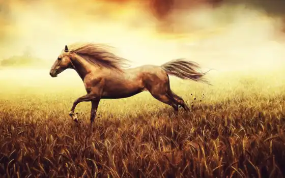 лошадь, лошади, поле, золотом, грациозная, лошадей, страница, год, гороскоп, 