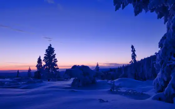 зима, лес, вечер, пейзаж, закат