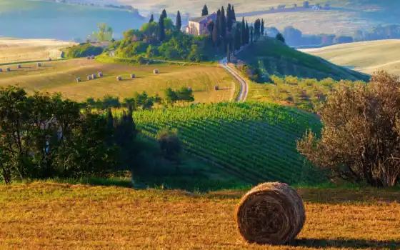пейзаж, toskannyi, поле, итальянское, фотообои, сено, итальянское, холм