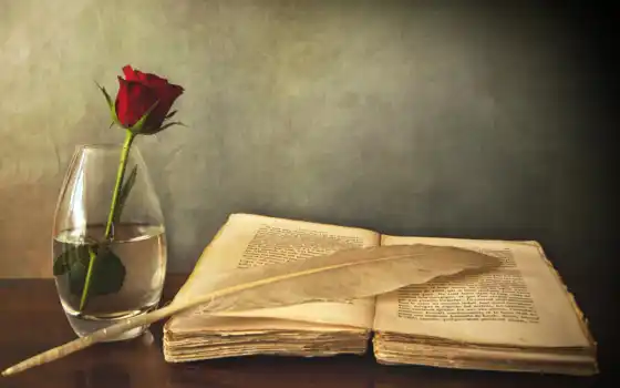 книга, роза, красная, цветы, вазе, столе, ваза, старая, перо, взгляд, 