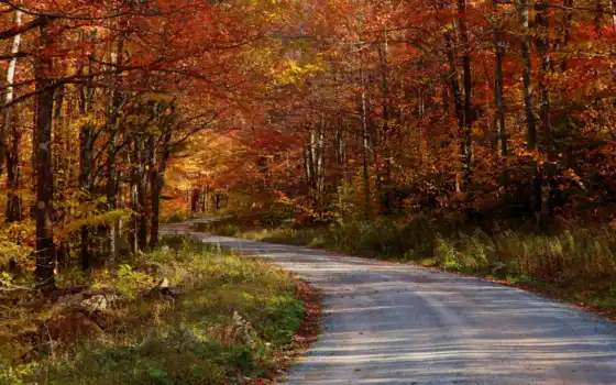 страна, осень, дороги, дорогу, взять, дом, природа, лес, скачать, леса, дороги, бесплатно, русские, живое, год назад,
