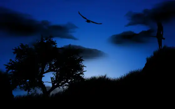 птица, ночь, небо, девушка, дерево, 
