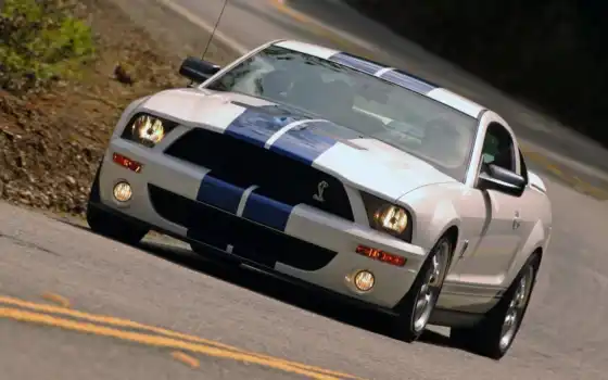 mustang, ford, shelby,