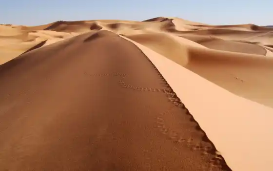 пустыня, пейзаж, песок, фотографии, высокие, кружева,