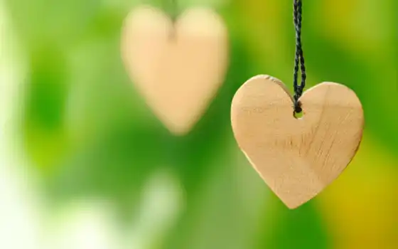 сердечки, сердце, макро, зелёный, love, деревянные, бумаги, сердца, сердечка, 