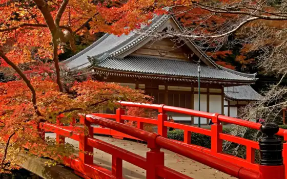 japanese, храм