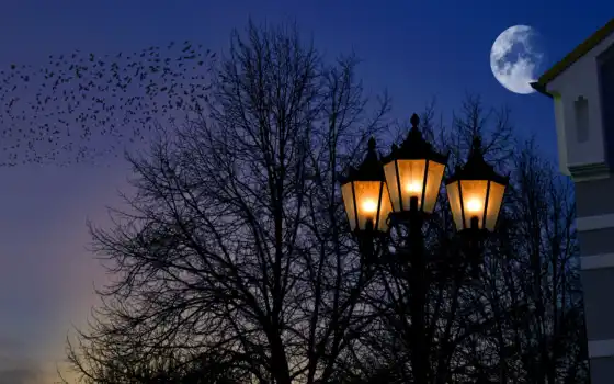 фонарик, ночь, луна, освещение, улица