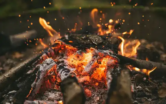 burn, дерево, camp, bonfire, пепельный, пламя, огонь, campo, goldy