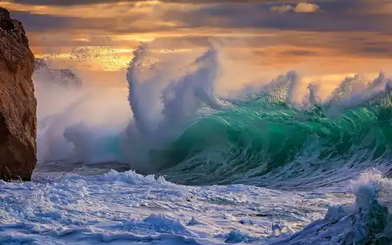 буря, волосатая, море