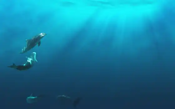 подводные, подводные, лучи, лучи, свет, настольные, то есть, дельфины, восхитительные, восхитительные, подогреваемые, дельфины,