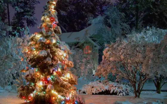 год, новый, елка, ёль, снег, деревья, дом, гирлянды, ночь, зима, праздники, праздник, рождество, новогодняя, нового, картинка, года, новогодние, 