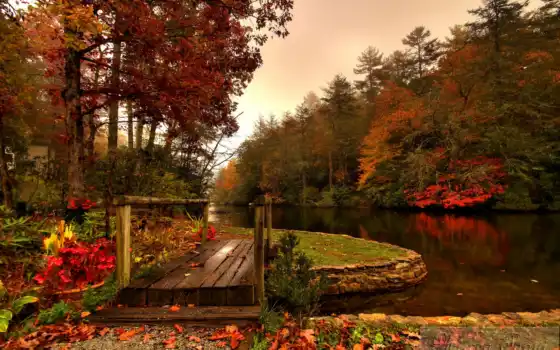 мост, осень, река, лес, деревянный,