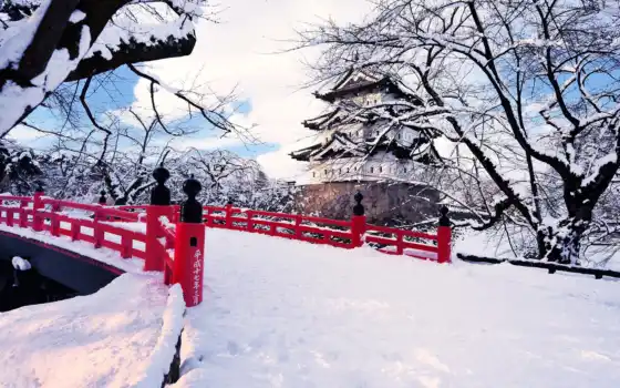 япония, зима, снег, город, префектура, хиросаки, аомори, 