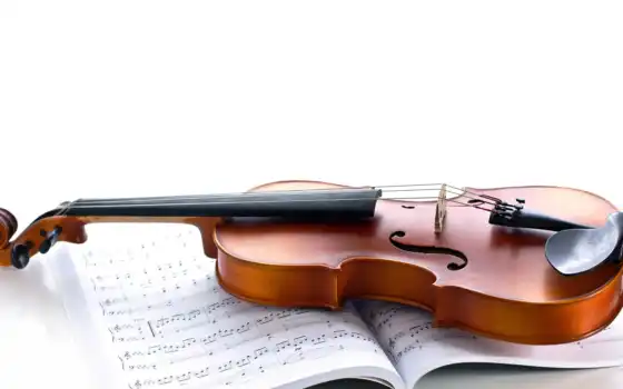 скрипка, nota, скрипка, музыкальный, muzyka, instrument, png, журнал, музыка, sohranit, конкурс
