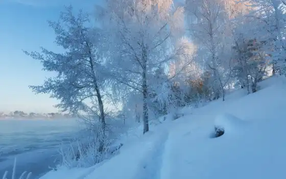 зима, река, дерево