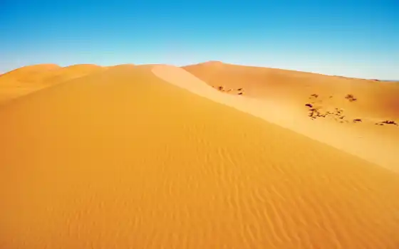 желтый, песок, пустыня, связи, пейзаж, синий, дюн,