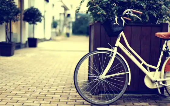 велосипед, город, улица