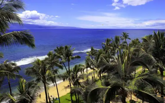 hawaii, соответствующие, классические, бесплатные, фото, настольные, механические, морские,