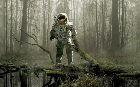 астронавт, космос, масса, передний план, земля, он, дерево, парле, ау, дирижабль, солнце