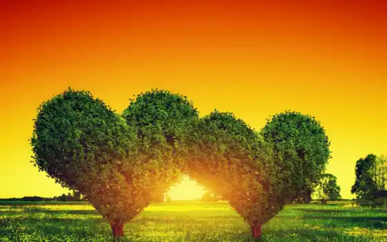 обои на рабочий стол, красивые картинки, картинки для ipad, обои для android