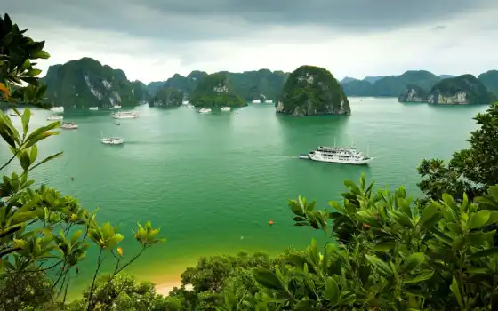 бухта, слонг, витнам, море, пейзаж, остров, море, растительность, деревья,