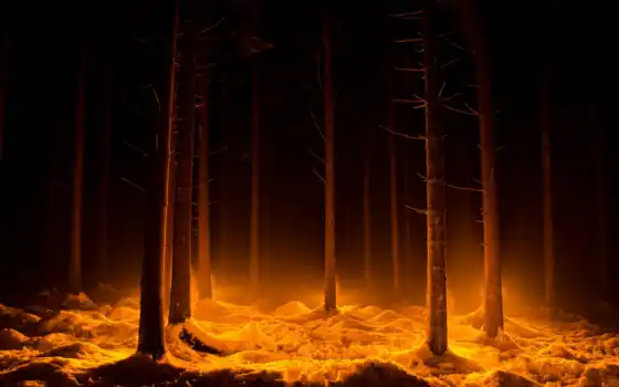 лес, темное