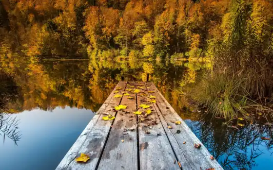 природа, озеро, листья, мост, озера, 