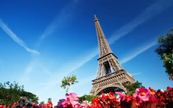 париж, баня, Эйфелева башня, франция, цветы, архитектура