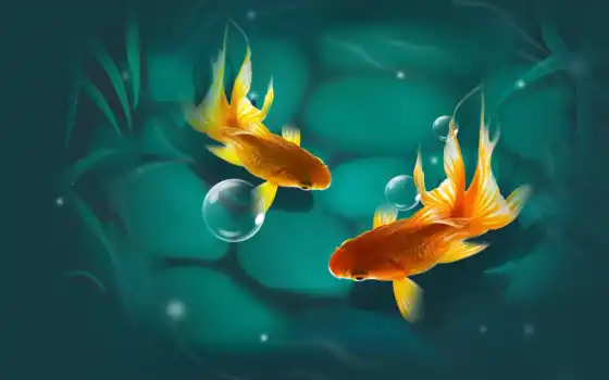 fish, золотистый, abrakadabra