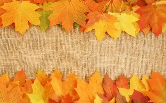 осень, листва, яркие, краски, широкоформатные, прожилки, кленовые, осенние, 
