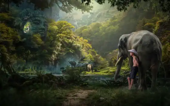 джунгли, слон, мальчишки, вуайеризм, лес