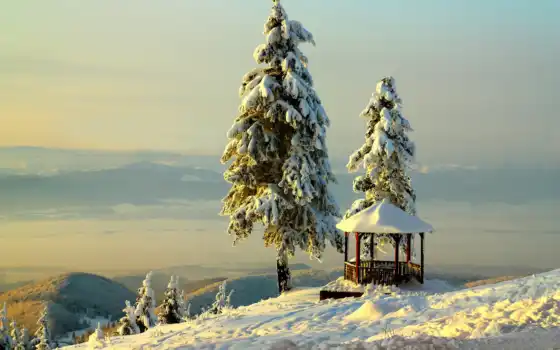 снег, winter, горы, eli, елки, лес, природа, trees, пейзажи -, зимние, небо, 