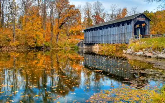 осень, мост, природа