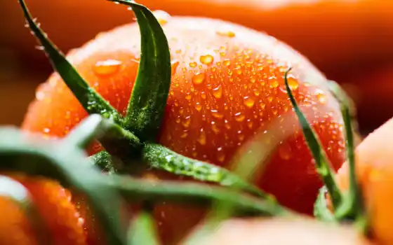 tomate, tomato, und, супер, makryi, качественные, die, прованс, grappe, authentic, оранжевый