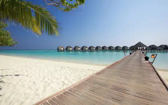 maldives, kanuhura, курорт, злокачественные