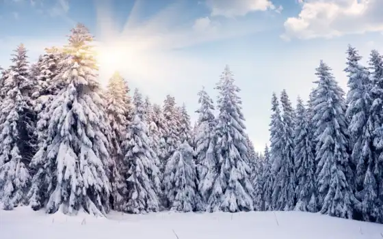 зима, горные, елки, облака, солнце, деревья, лес, лес,