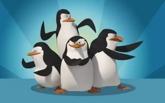 мадагаскара, пингвины, обои, cкачать, пингвин, quo