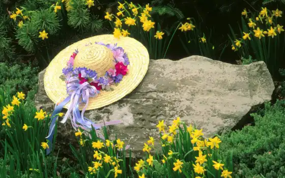 шляпа, цветы, камень, кентуки, луисвиль, фотообои, 