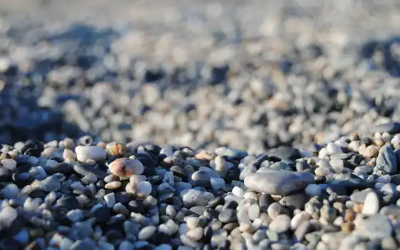 камни, галька, картинка, морская, пляж, взгляд, море, 