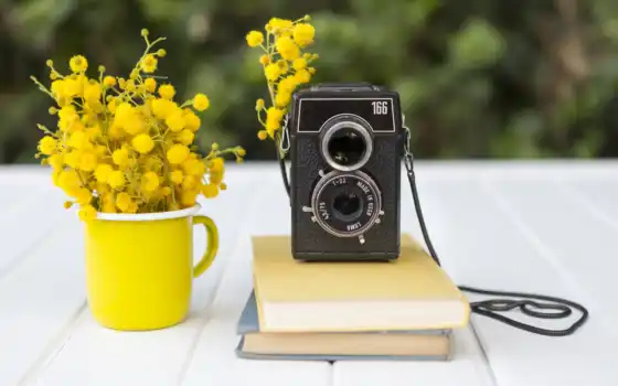 книга, фотоаппарат, цветы