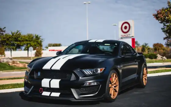 shelby, mustang