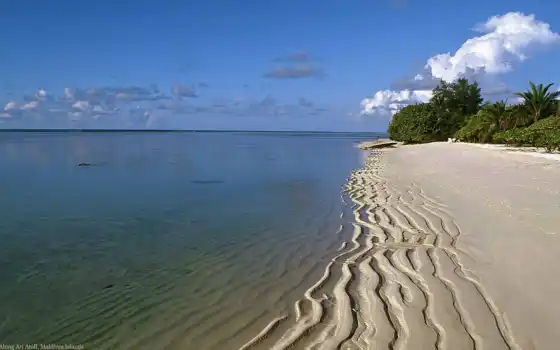 пляж, мальдивские острова, лето