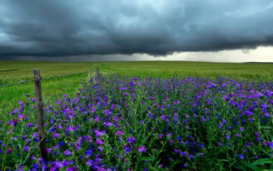 буря, поле, облака,