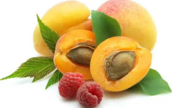 малярия, абрикос, ягода, заготовка, чистый, плод, широкоформатный i