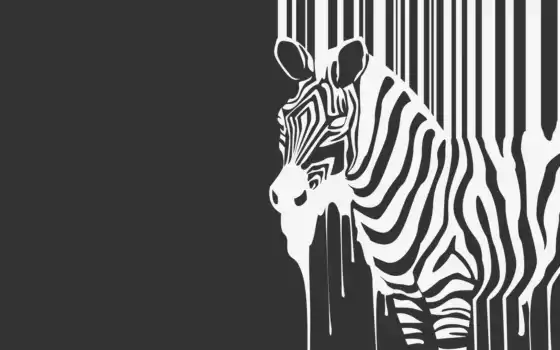 zebra, фон